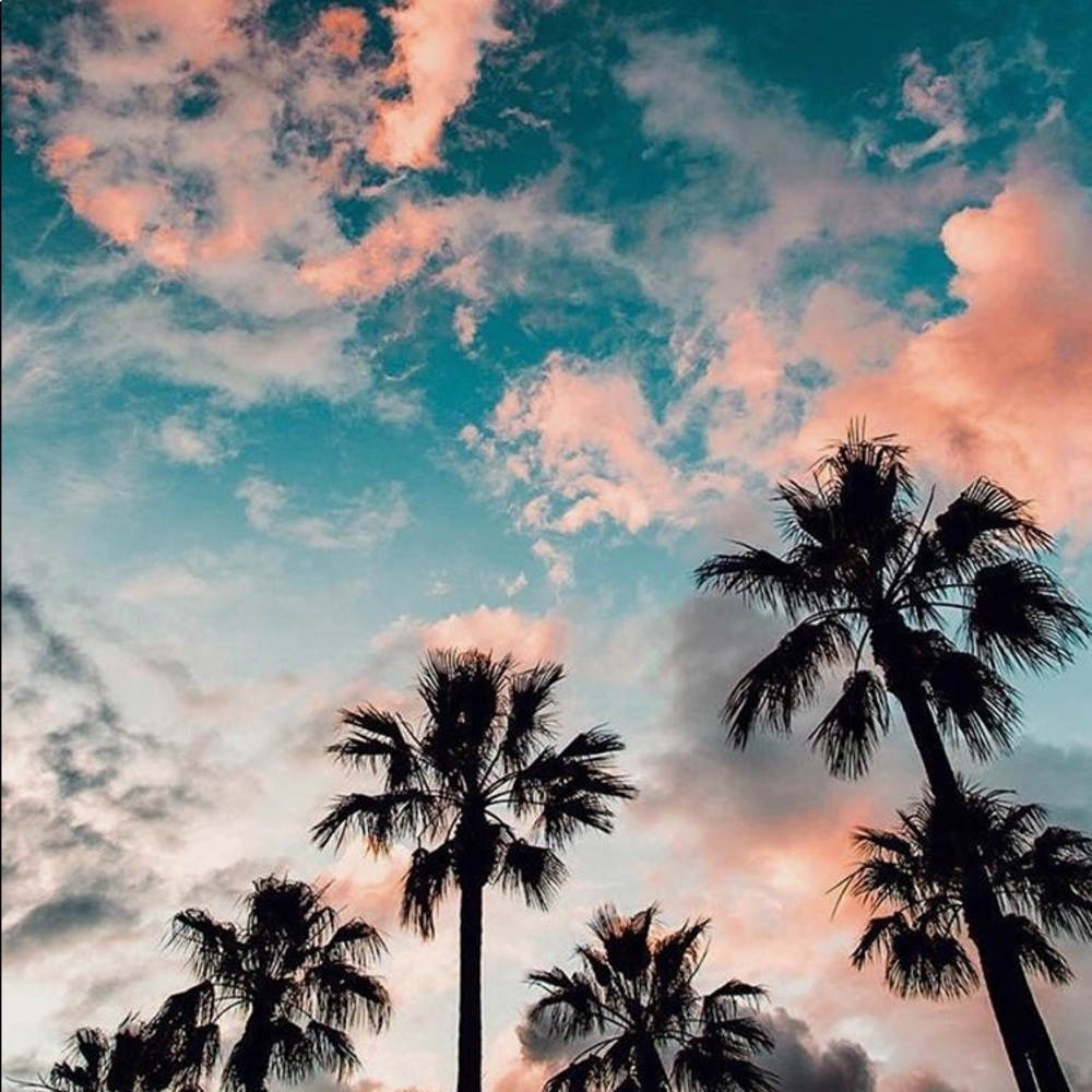 Meet your Posher, Sophia